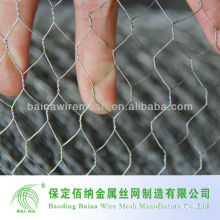 High Quality Chicken Wire Mesh Manufacture